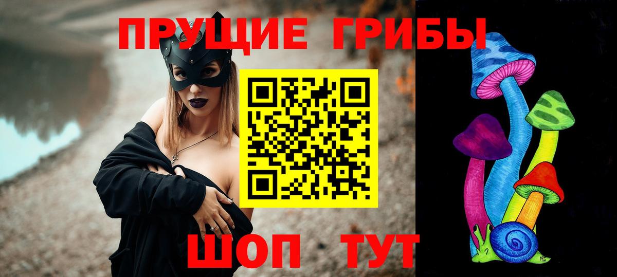Галлюциногенные грибы Psilocybe Ялуторовск
