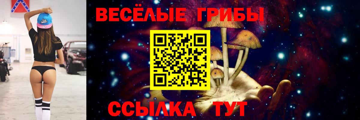 Галлюциногенные грибы Psilocybe  Вход с VPN  Ялуторовск 